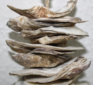 Muschelkette am Juteseil, Austernmuscheln natur, Länge ca. 50 cm