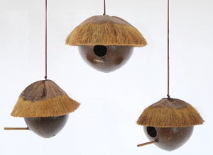 Vogelhaus Kokosnuss zum Aufhängen, Höhe ohne Aufhängung ca. 16 cm